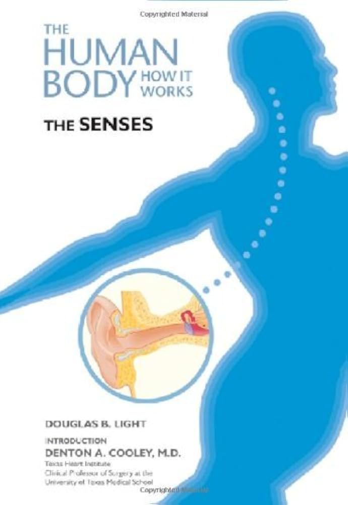 The Human Body How It Works The Senses