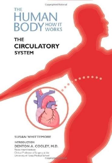 The Human Body How It Works The Circulatory