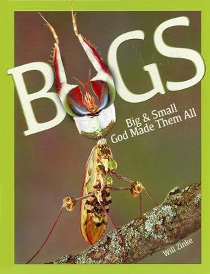Bugs Big & Small God Made Them All