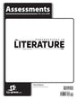 Perspectives In Literature Assessments