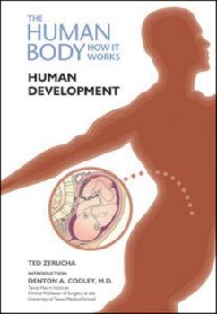 The Human Body How It Works Human Development