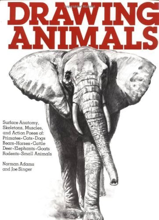 Drawing Animals