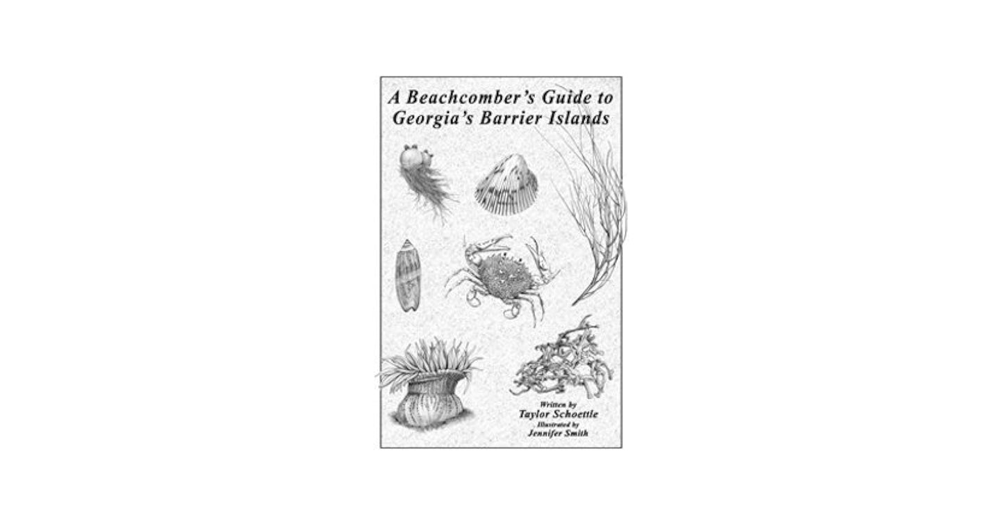 A Beachcombers guide to Georgia's barrier island