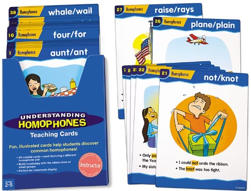 Understanding Homophones Teaching Cards