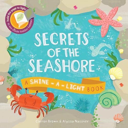 Secrets of the Seashore A Shine - A - Light Book
