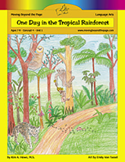 One Day in the Tropical Rain Forest