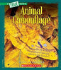Animal Camouflage