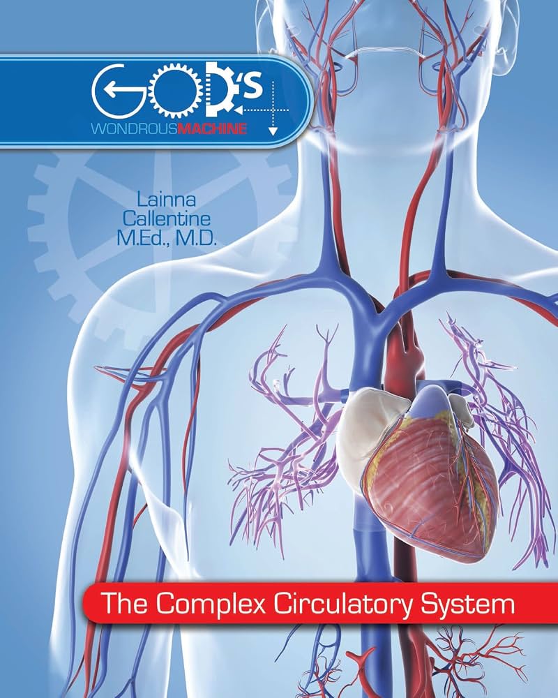 God's Wondrous Machine The Complex Circulatory System