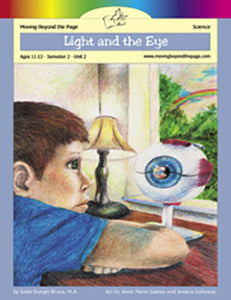 Light and the Eye