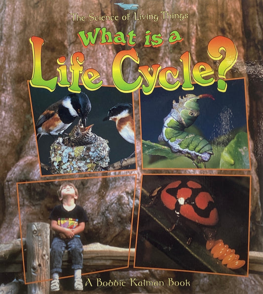What is a Life Cycle?