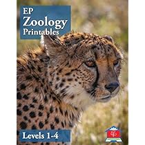 Easy Peasy Zoology Printables