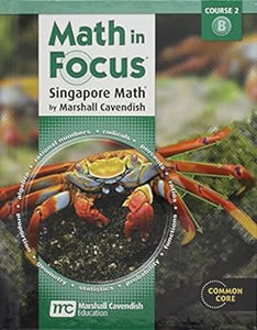 Math in Focus 2B