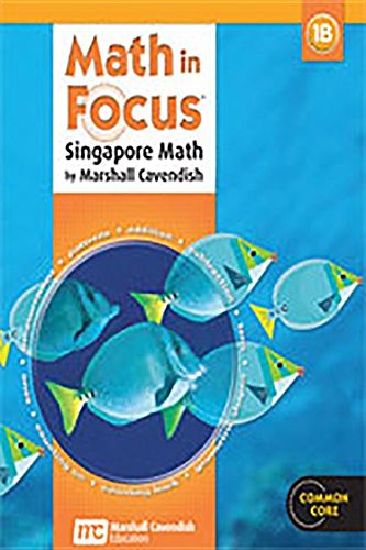 In Focus 1B