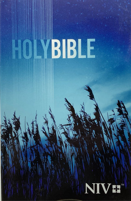 Holy Bible NIV