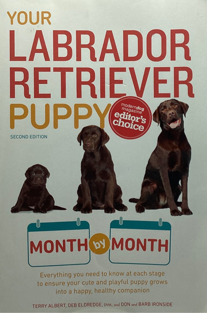 Your Labrador Retriever Puppy